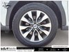 2023 Subaru Outback Limited XT-6