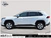 2019 Toyota RAV4 XLE-4