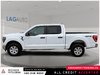 2023 Ford F-150 XLT-4