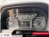 2020 GMC Sierra 1500 AT4-17