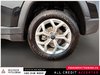 2025 Jeep Compass North-7