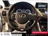 2019 Lexus NX 300 Base-15