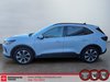 Ford Escape Platinum 2025-2