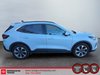 Ford Escape Platinum 2025-16