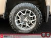 GMC Canyon 4WD AT4 w/Cloth 2022-5