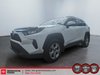 2019 Toyota RAV4 Hybrid LE-0