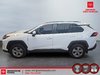 Toyota RAV4 XLE 2023-4