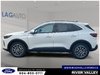 2026 Ford Escape Plug-In Hybrid Base-4