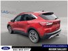 2020 Ford Escape SEL-3