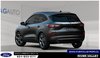2025 Ford Escape St-Line-2