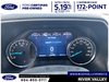 2023 Ford F-150 XLT-8