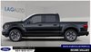 2025 Ford F-150 STX-1