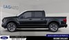 2026 Ford F-150 STX-1
