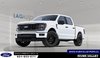2026 Ford F-150 STX-0