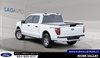 2026 Ford F-150 XLT-2