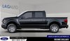 2026 Ford F-150 XLT-1