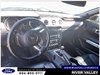 2019 Ford Mustang GT Premium-7
