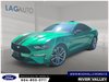 2019 Ford Mustang GT Premium-0