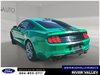 2019 Ford Mustang GT Premium-3