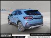 2025 Ford Escape Platinum-3