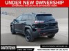 2020 Jeep Cherokee Trailhawk-3