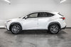 2020 Lexus NX 300-4