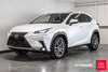 2020 Lexus NX 300-0