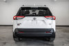 2019 Toyota RAV4 XLE-6