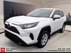 Toyota RAV4 LE 2024-2