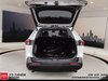 Toyota RAV4 XLE AWD Premium 2024-6