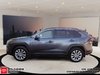 2024 Toyota RAV4 XLE AWD Premium-0