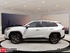 Toyota RAV4 Hybrid Limited 2025-0