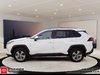 2025 Toyota RAV4 XLE-0