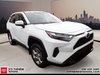 2025 Toyota RAV4 XLE-2