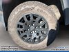 2024 Chevrolet Colorado 4WD Trail Boss-5