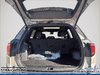 2026 GMC Terrain Elevation-5