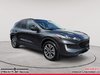 2020 Ford Escape SEL-20