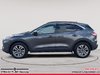2020 Ford Escape SEL-4