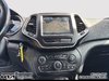 2020 Jeep CHEROKEE TRAILHAWK-12