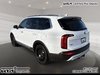 2021 Kia TELLURIDE EX-1