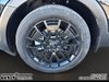 2021 Kia TELLURIDE NIGHTSKY-6