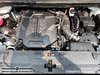 2022 Kia Carnival LX-7