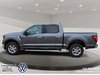 2024 Ford F-150 XLT-4