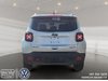 2021 Jeep RENEGADE Trailhawk-2
