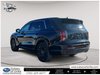2025 Hyundai Palisade Ultimate Calligraphy Night-3