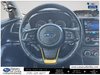 2021 Subaru Crosstrek Outdoor-12
