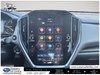 2024 Subaru CROSSTREK LIMITED CVT-19