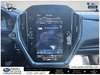 2024 Subaru Crosstrek Wilderness-20