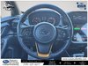 2024 Subaru Crosstrek Wilderness-14