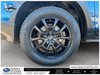 2024 Subaru Crosstrek Wilderness-7